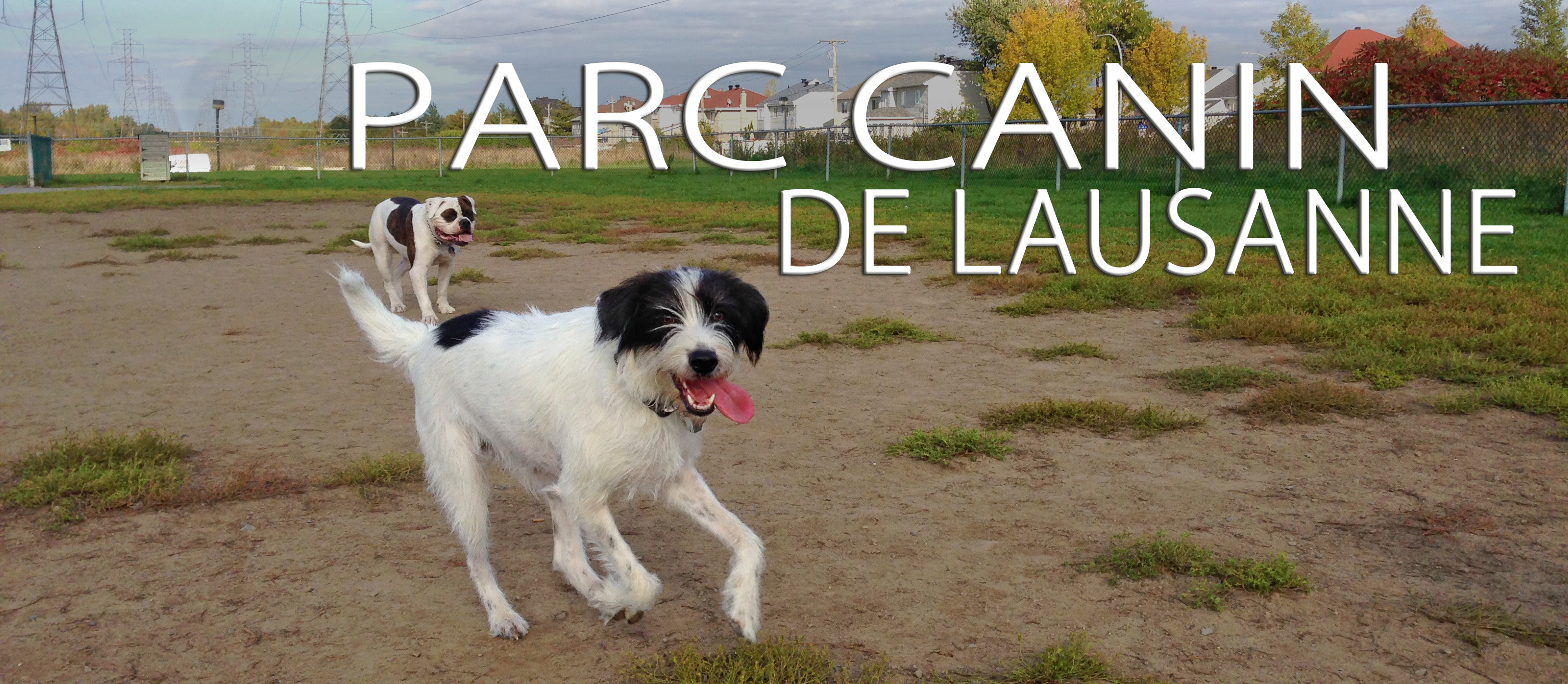 PARC CANIN DE LAUSANNE
